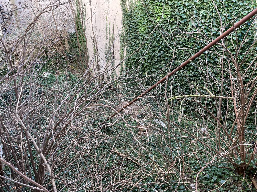 Lot: 73 - LAND WITH POTENTIAL CLOSE TO HOVE SEAFRONT - Closer view of land